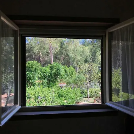 Del Sole