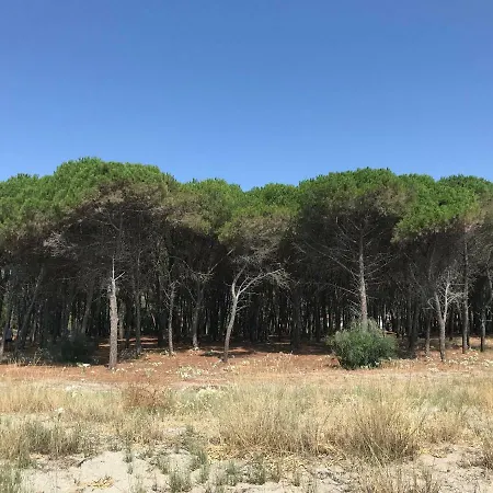 Villa Del Sole